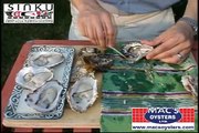 Mac's Oysters - How to shuck a deep water oyster