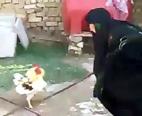 craze hen attack to old women