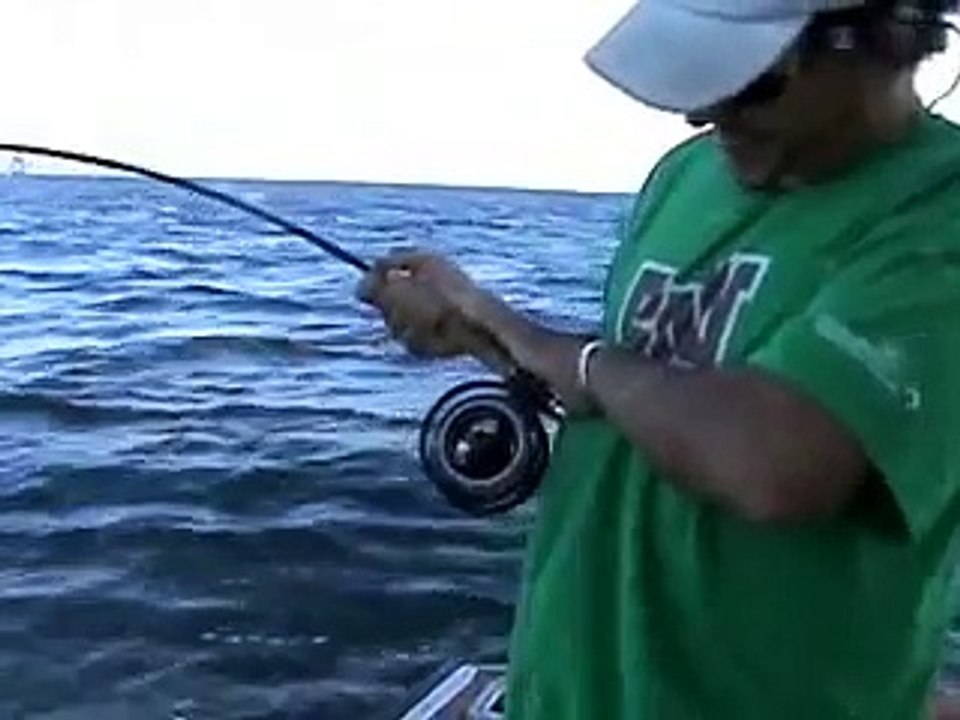 Marlin