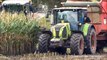 NEW CLAAS ARION 640 & 650 | Various fragments | Mud | The Netherlands.