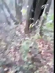 OMG very very Funny video Must watch