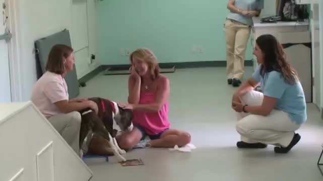 Woman sees her dog walk for first time after miracle surgery