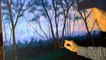 wie Nebel in einem Wald zu malen bei Sonnenuntergang mit Acryl auf Leinwand