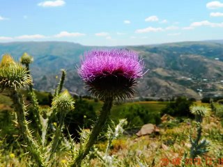 Abdullah Papur'dan Sor Beni Türküsü köy manzaraları eşliğinde
