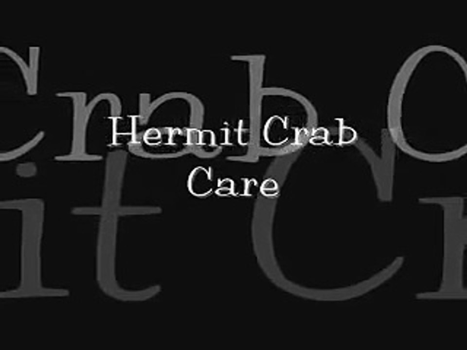 Chapter Five- Humidity
