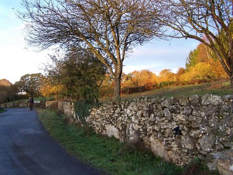 Camino De Santiago - The Pilgrim Song - by Cecilia Samartin, bestselling novelist