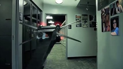 Youtube: estos gatos se pelean al estilo de Stars Wars (VIDEO)