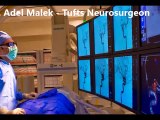Dr Adel Malek Neurovascular Surgery Tufts