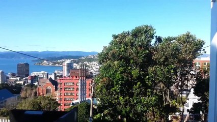 UNBELIEVABLE! Jet Sonic-boom Near Victoria Uni Wellington NZ, Breaks Glass !!!