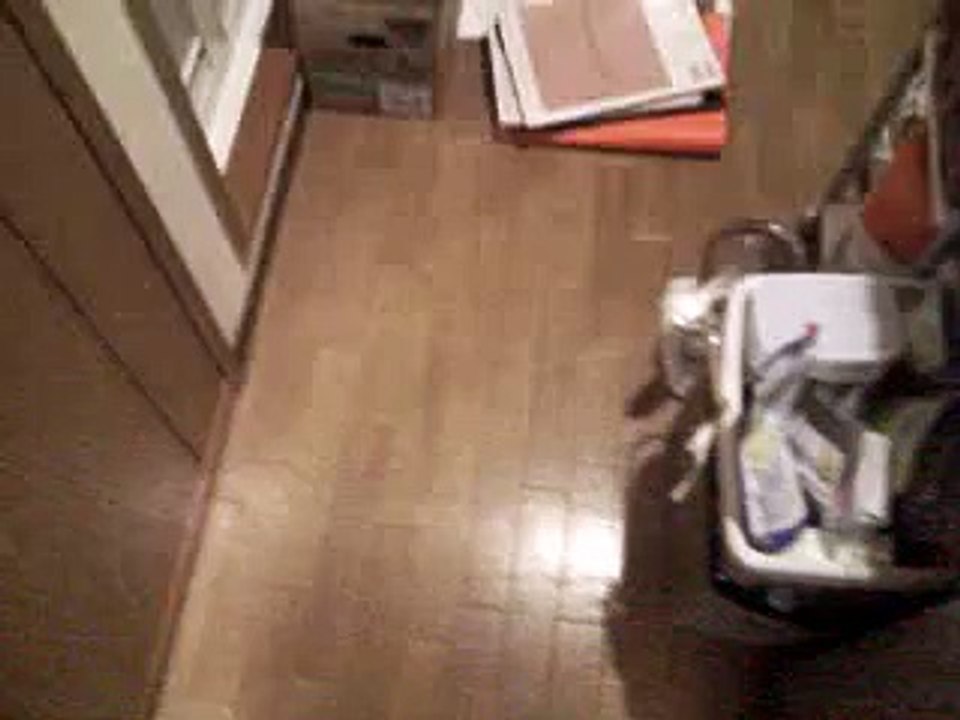 保護した捨て子猫と動物虐待の捜査をしない警察。