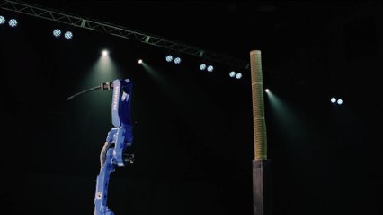 Maître d'épée VS Robot industriel