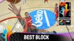 USA v Mexico - Best Block - 2014 FIBA Basketball World Cup