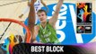 Dominican Republic v Slovenia - Best Block - 2014 FIBA Basketball World Cup