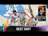 Dominican Republic v Slovenia - Best Shot - 2014 FIBA Basketball World Cup