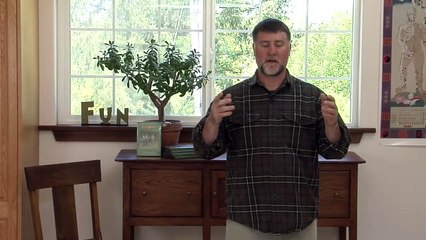 Healing Insomnia with Qigong #1: Breathing from Head to Kidneys