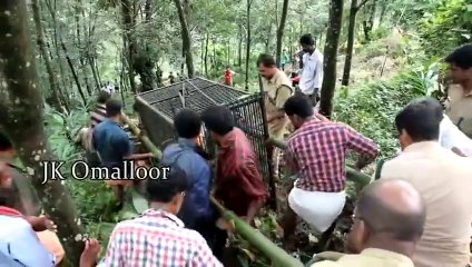 ATTACKING LEOPARD EAT A  DOG  MUST WATCH   വിളറിപൂണ്ട പുലി