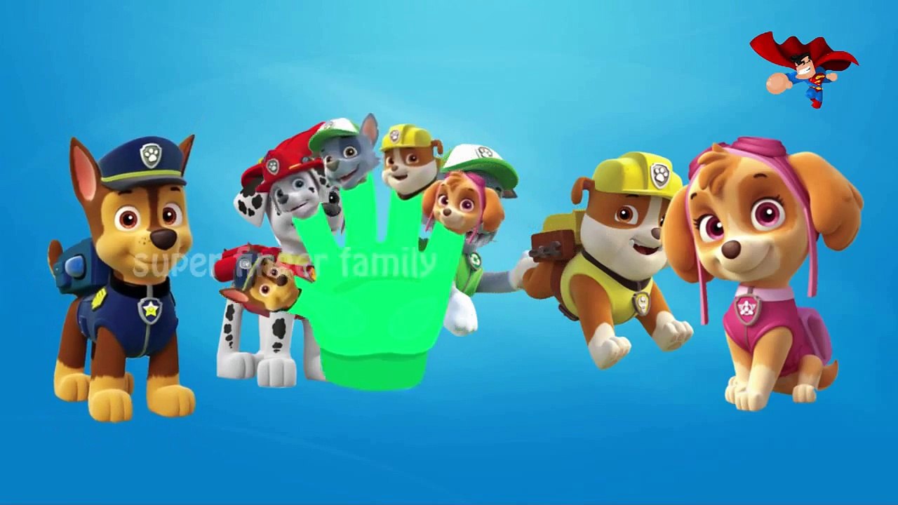 Paw Patrol | 3D Cartoon Finger Family Nursery Rhymes For Kids | Cartoon Rhymes