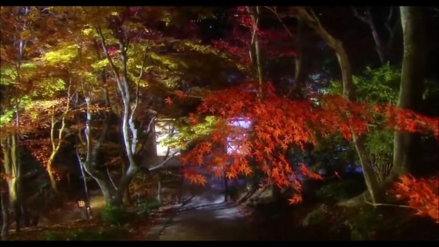 ♥♫Richard Abel - I Think Of You♥♫ Je pense à toi