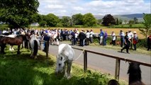 Travellers gather for the annual Appleby Horse Fair