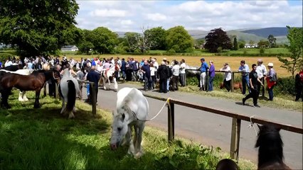 Travellers gather for the annual Appleby Horse Fair