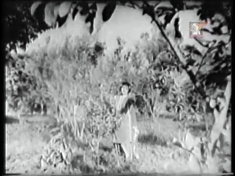 NOOR JAHAN - MAHI VE SANU BHUL NA - MALANGI