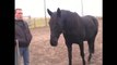 21 februari 2010 - Emiel Voest bij de opleiding voor Mens & Paard, deel 1
