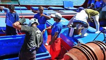 From Catcher to Counter - Fisheries organising project