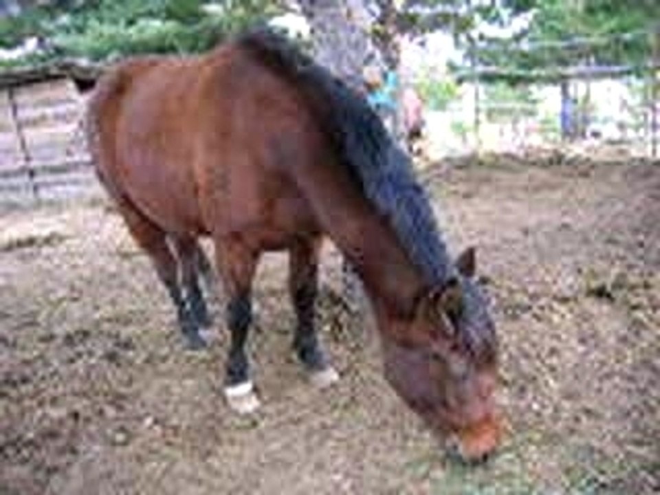 Elsa qui mange