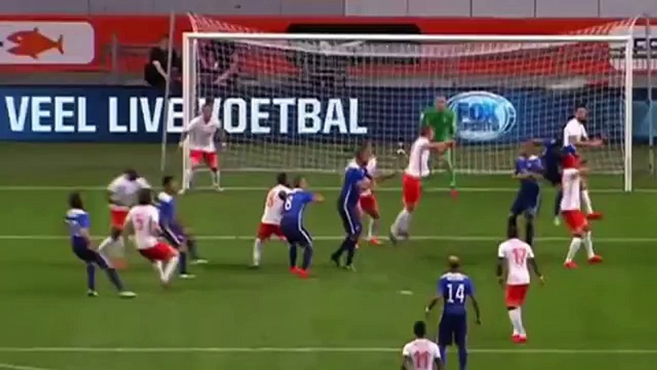 Danny Williams Goal - Netherlands 3-3 USA 05.06.2015 HD