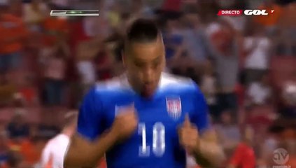 3-4 Wood Goal - Netherlands vs USA 05.06.2015