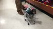 Man pushes adorable dog in small shopping cart