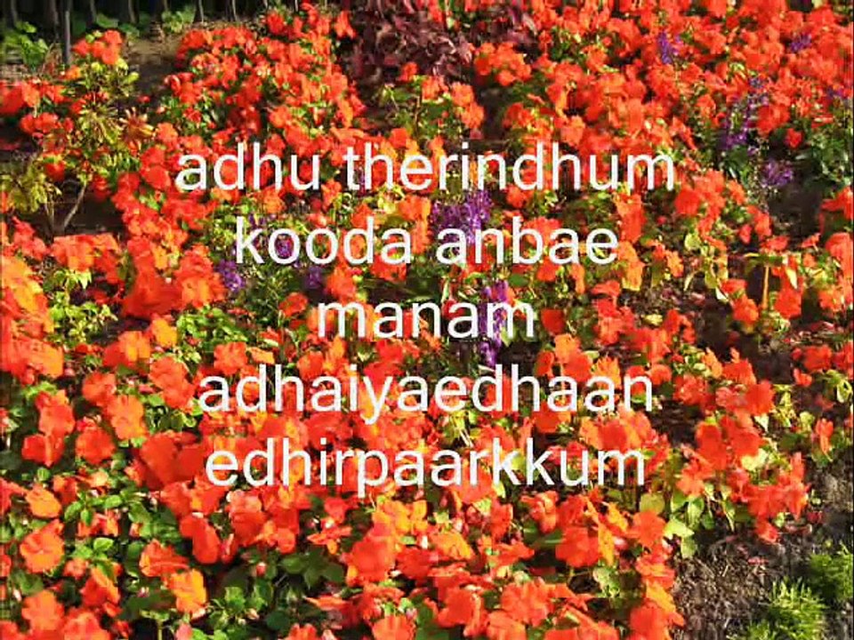 Vaseegara