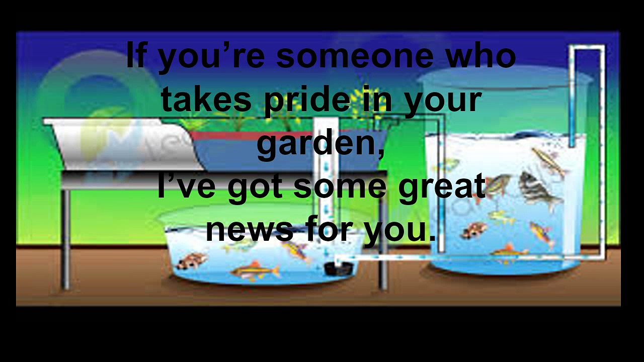 Best Beginners DIY Aquaponics System to build