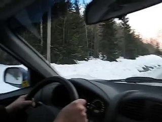 Swedish Jackdaw doing speedtest