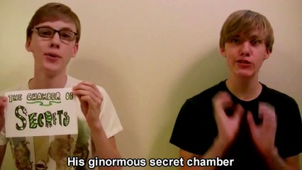 Harry Potter in 99 Seconds