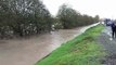 Puyallup River Flooding Nov 2006