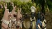 خروف شون ذا شيب الحلقة 40 ـ شون المزارع | Shaun The Sheep