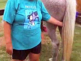 Hind Hoof Circles for Horse