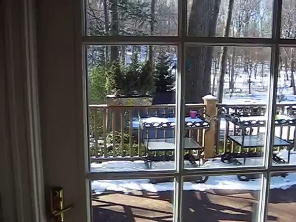 Squirrel Catapult