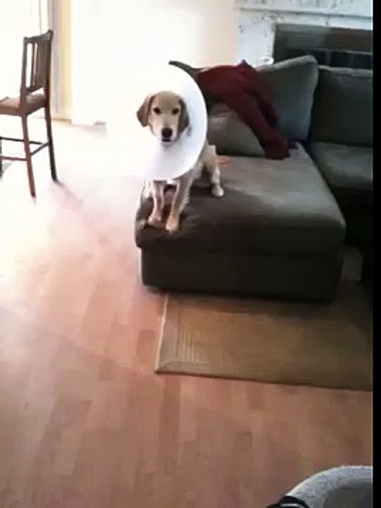 BALLS CUT OFF =(