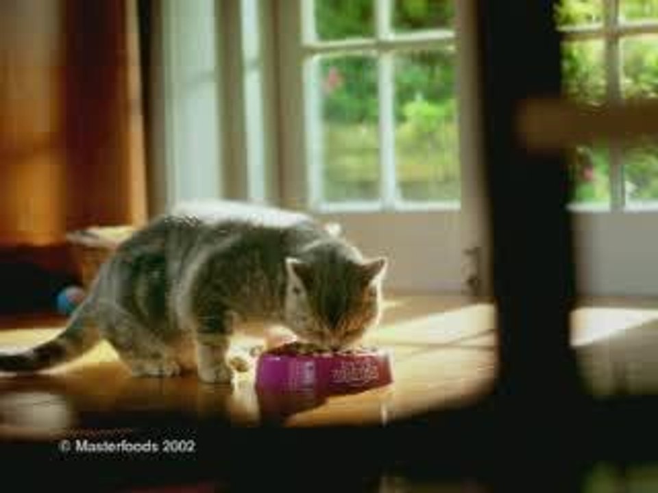 Pub Whiskas: La souris qui danse