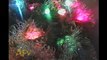Cats In Christmas Trees | AFV Holiday Compilation | AFV
