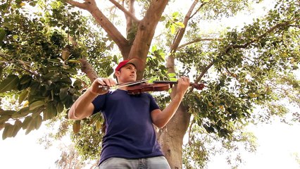 Sweet Home Alabama - Violin Cover - Josh Vietti