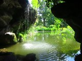 Parc de Bagatelle, bois de Boulogne (Paris 16e), 5 juin 2015