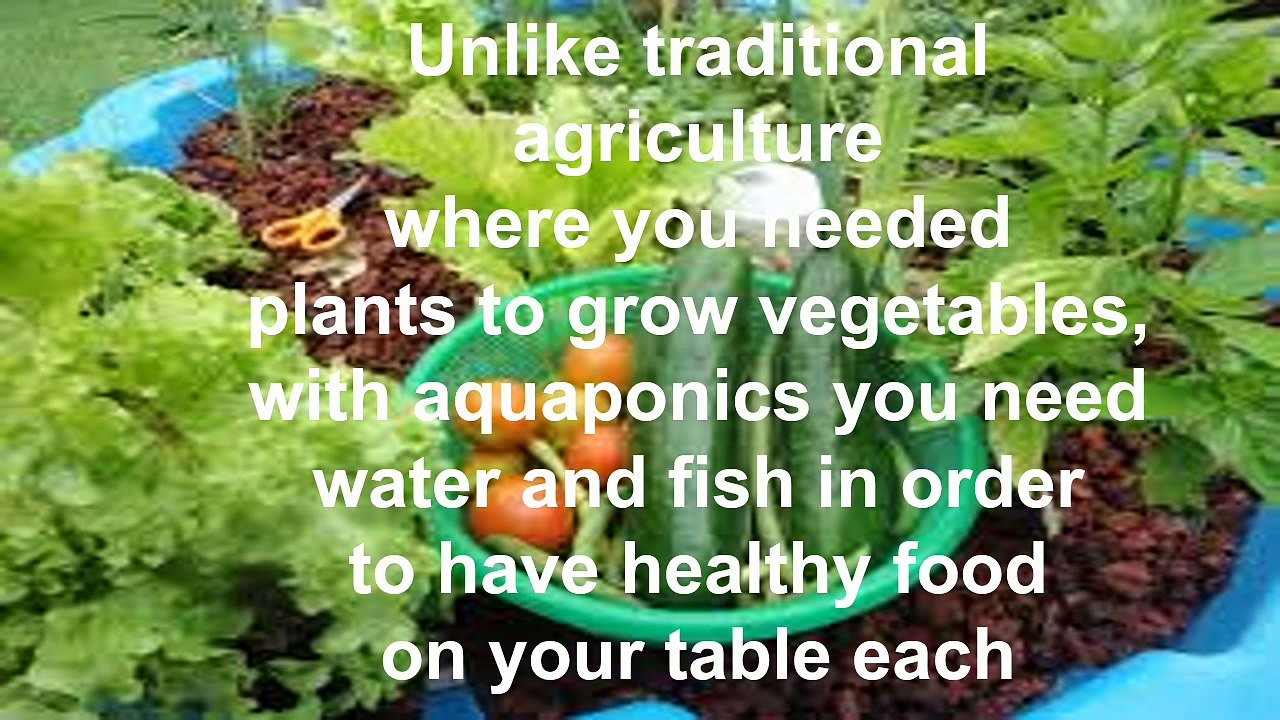 Cheap Basic DIY Aquaponics System Design