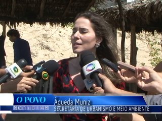 Plano de Arborização planeja plantar 35 mil árvores até 2016