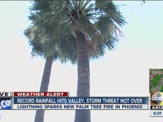 Lightning strikes palm tree in Scottsdale