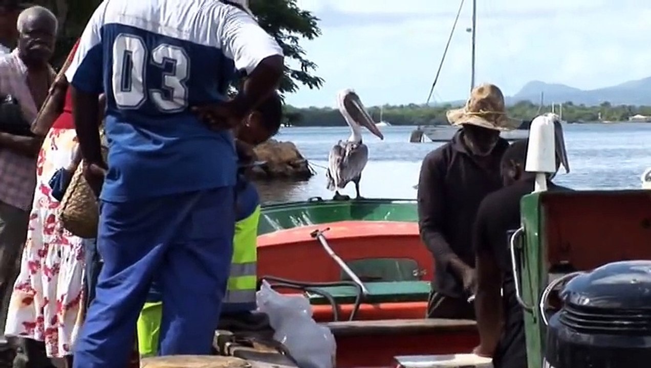 Caribbean Moments - Guadeloupe