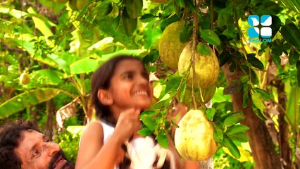 Bl. MARIAM THRESIA TRIALER