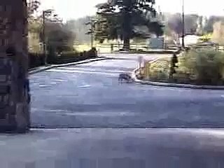 da non credere - Spettacolare